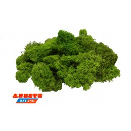 BOLSA MUSGO ISLAMOND 75 g...