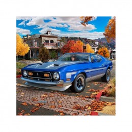 KIT 1/25 AUTO FORD MUSTANG...